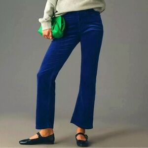 Anthropologie Deep Blue Velvet Skinny Pants